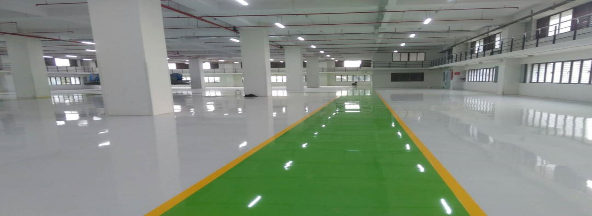 Wall Coating & Coving services